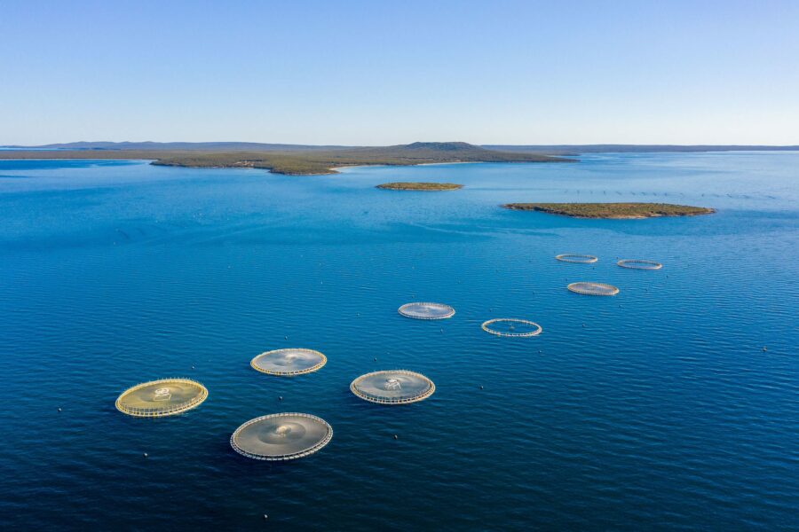 Cape Donington, Lincoln National Park; Image Credit: SATC