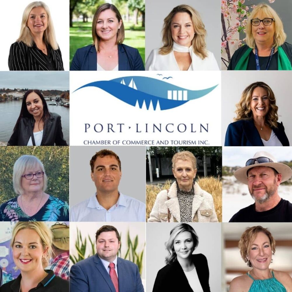 White And Blue Simple Geometric Headshot Photo Studio Instagram Ad